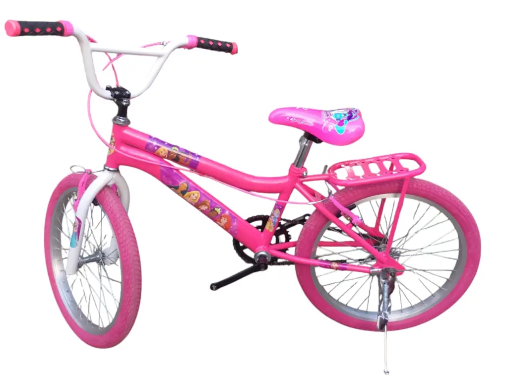 BIC20NINAPERFIL.webp