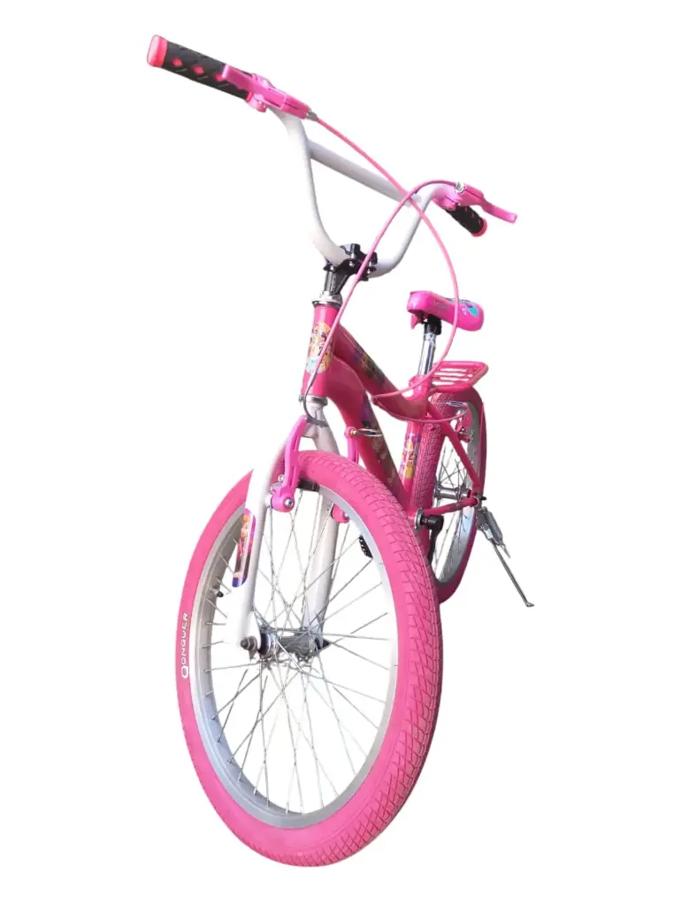 BICICLETA RIN 20 V-BRAKE NIÑA ACERO, EXT